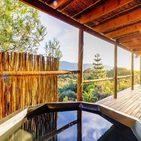 Steenbok Farm Cottages Steenbok Cottage Wolseley Bagian luar foto